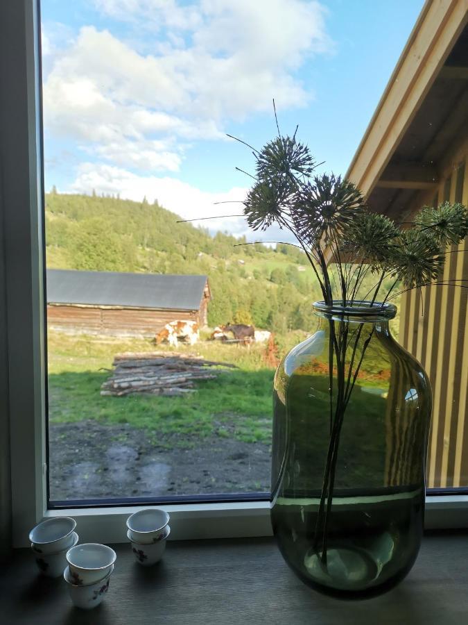 Na Er Vinteren Kommet Til Hallingdal Ол Екстер'єр фото