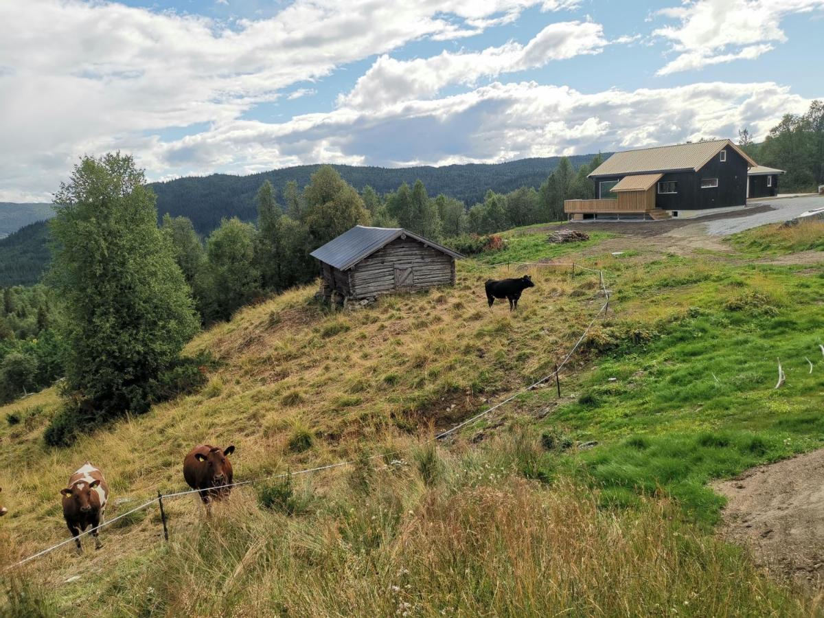 Na Er Vinteren Kommet Til Hallingdal Ол Екстер'єр фото